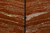 Tall, Arizona Petrified Wood Bookends - Brick Red #344123-2